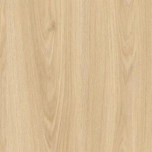 Acacia-honey-L591 Acacia Honey color
