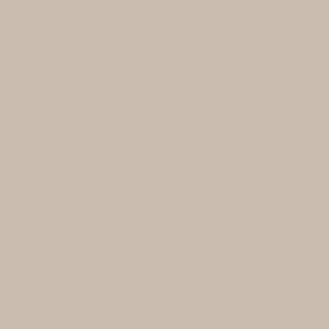 Grey-Cement (Tea) Grey Cement color