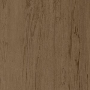salt-of-the-earth-L589 Salf of the Earth color
