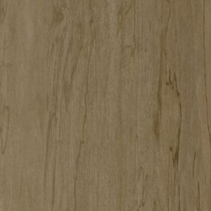 sweet-savory-L588 Sweet Savory color